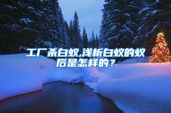 工廠殺白蟻,淺析白蟻的蟻后是怎樣的？