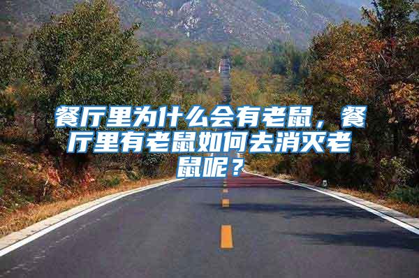 餐廳里為什么會有老鼠，餐廳里有老鼠如何去消滅老鼠呢？