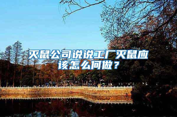 滅鼠公司說說工廠滅鼠應該怎么何做?