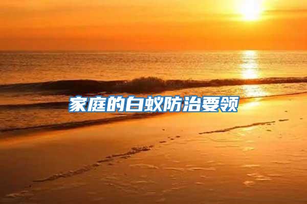 家庭的白蟻防治要領
