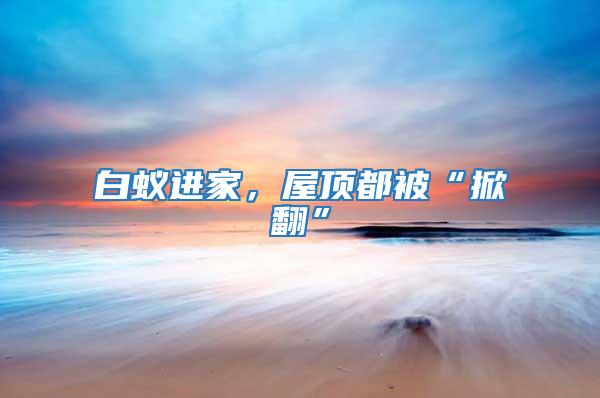 白蟻進(jìn)家，屋頂都被“掀翻”