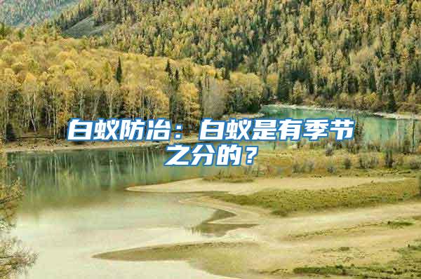 白蟻防冶：白蟻是有季節之分的？