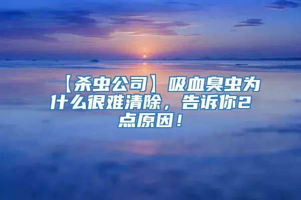 【殺蟲公司】吸血臭蟲為什么很難清除，告訴你2點原因！
