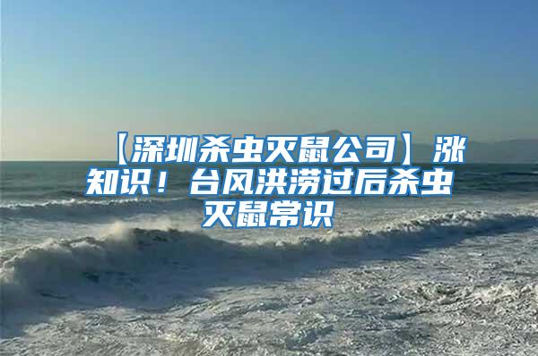 【深圳殺蟲滅鼠公司】漲知識!臺風(fēng)洪澇過后殺蟲滅鼠常識