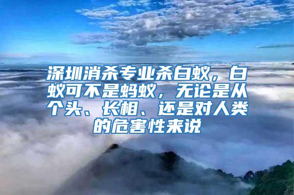 深圳消殺專業(yè)殺白蟻，白蟻可不是螞蟻，無論是從個頭、長相、還是對人類的危害性來說