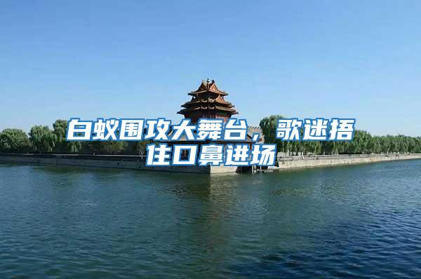 白蟻圍攻大舞臺,歌迷捂住口鼻進場