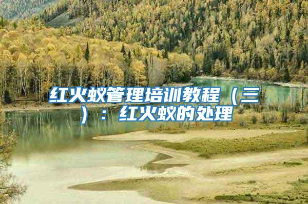 紅火蟻管理培訓教程（三）：紅火蟻的處理