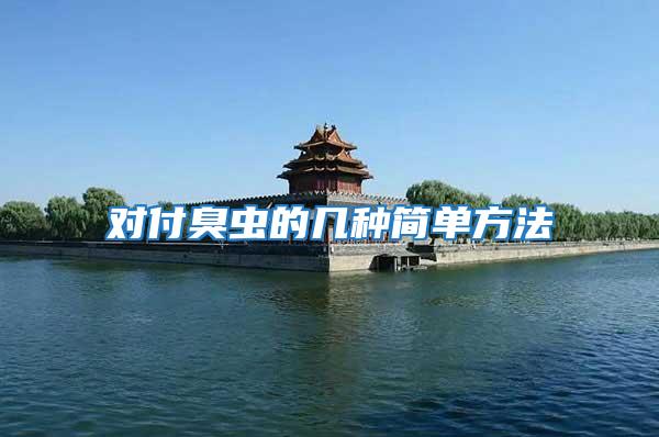 對(duì)付臭蟲的幾種簡(jiǎn)單方法