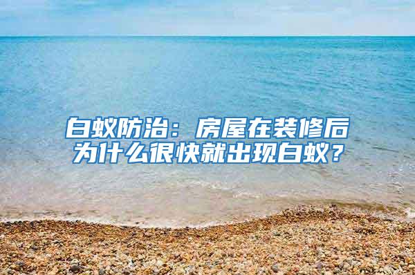 白蟻防治:房屋在裝修后為什么很快就出現(xiàn)白蟻?