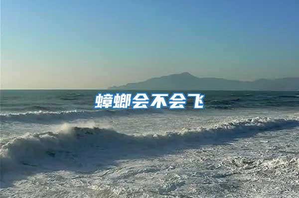 蟑螂會(huì)不會(huì)飛