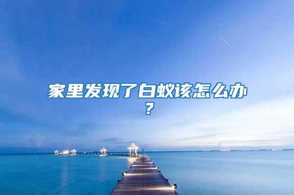 家里發(fā)現(xiàn)了白蟻該怎么辦?