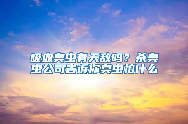 吸血臭蟲有天敵嗎？殺臭蟲公司告訴你臭蟲怕什么