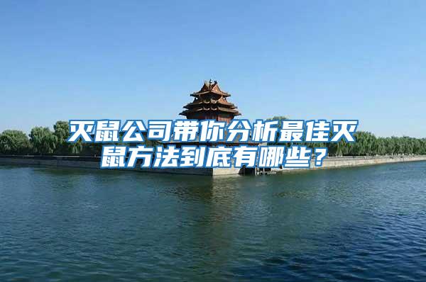 滅鼠公司帶你分析最佳滅鼠方法到底有哪些?