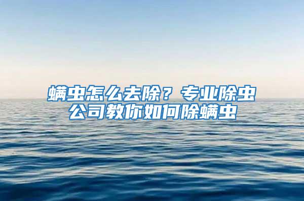 螨蟲怎么去除?專業除蟲公司教你如何除螨蟲