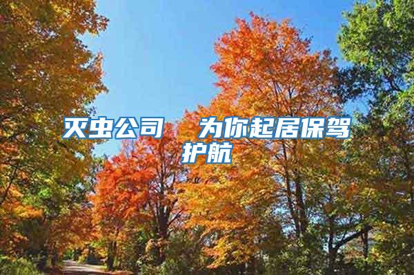 滅蟲公司 為你起居保駕護航