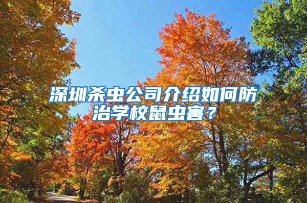 深圳殺蟲公司介紹如何防治學校鼠蟲害？