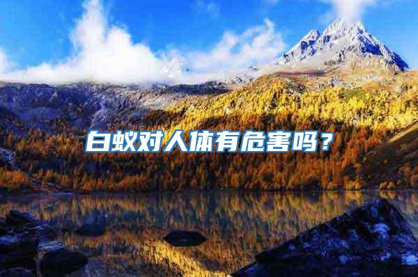 白蟻對人體有危害嗎?