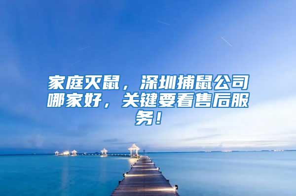 家庭滅鼠,深圳捕鼠公司哪家好,關(guān)鍵要看售后服務(wù)!