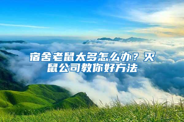 宿舍老鼠太多怎么辦？滅鼠公司教你好方法