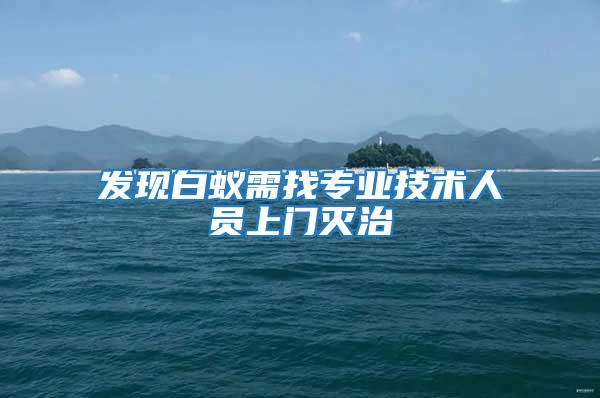 發現白蟻需找專業技術人員上門滅治