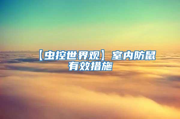 【蟲控世界觀】室內防鼠有效措施