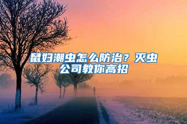 鼠婦潮蟲怎么防治？滅蟲公司教你高招
