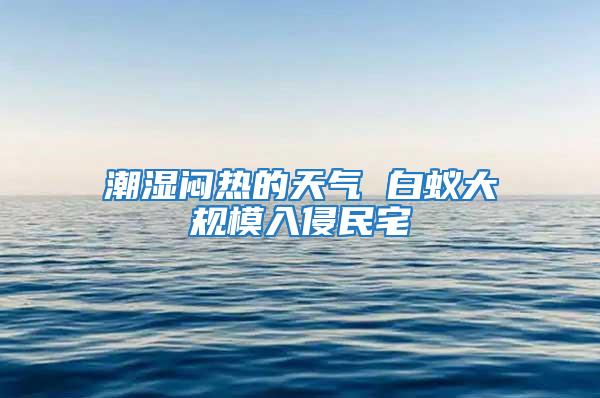 潮濕悶熱的天氣 白蟻大規模入侵民宅