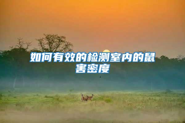 如何有效的檢測室內的鼠害密度