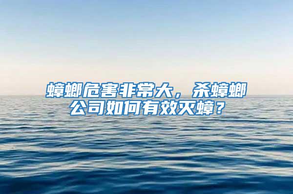 蟑螂危害非常大，殺蟑螂公司如何有效滅蟑？