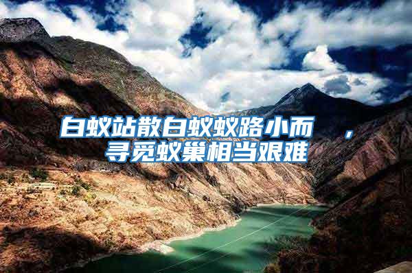 白蟻站散白蟻蟻路小而骫骳,尋覓蟻巢相當艱難