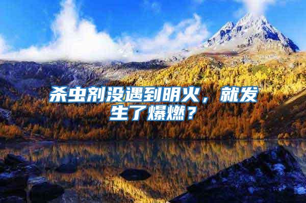 殺蟲劑沒遇到明火，就發(fā)生了爆燃？