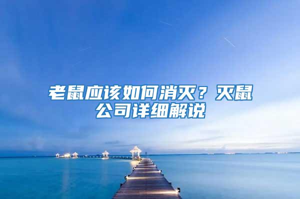 老鼠應(yīng)該如何消滅?滅鼠公司詳細(xì)解說(shuō)