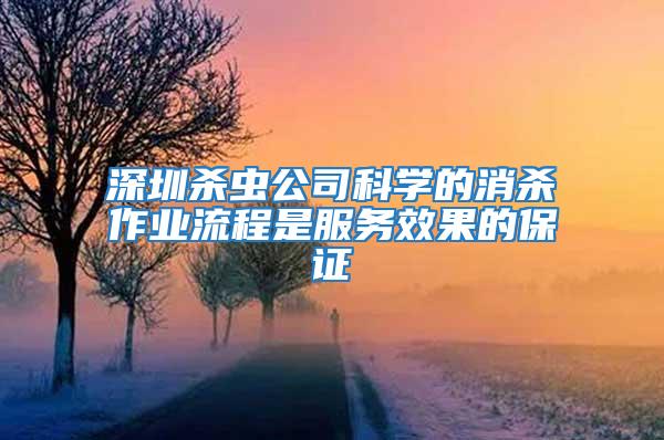 深圳殺蟲公司科學的消殺作業流程是服務效果的保證