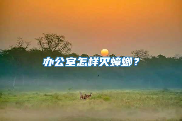 辦公室怎樣滅蟑螂？