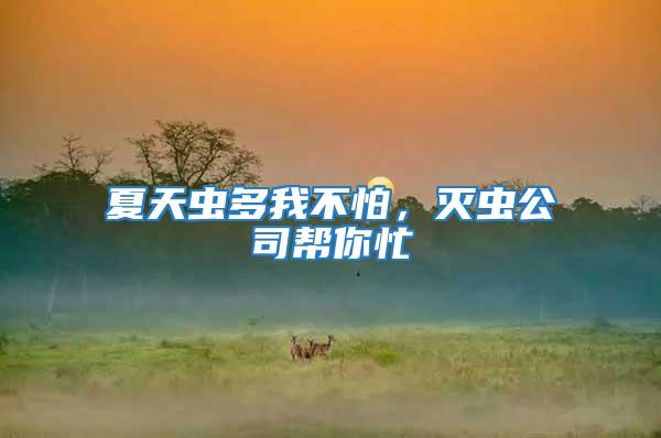 夏天蟲(chóng)多我不怕,滅蟲(chóng)公司幫你忙