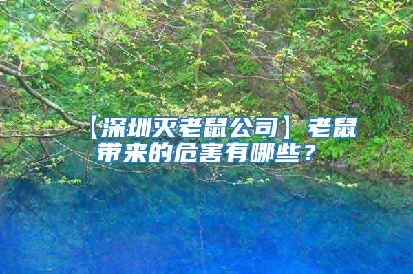【深圳滅老鼠公司】老鼠帶來的危害有哪些？