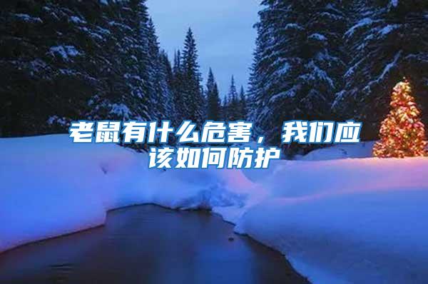 老鼠有什么危害,我們應(yīng)該如何防護(hù)