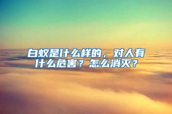 白蟻是什么樣的，對人有什么危害？怎么消滅？