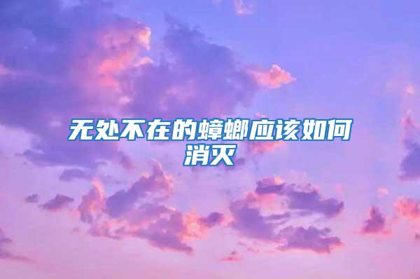 無處不在的蟑螂應該如何消滅