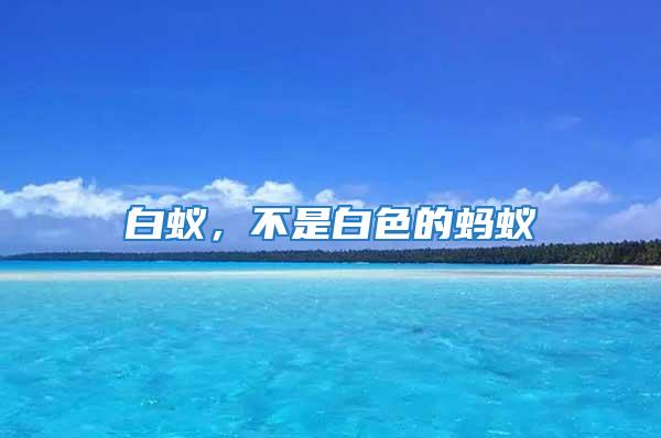 白蟻,不是白色的螞蟻
