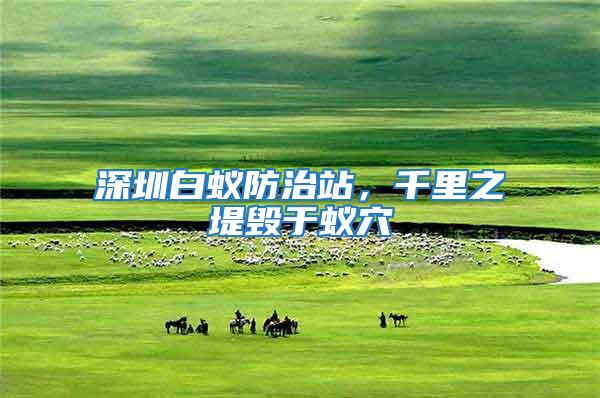 深圳白蟻防治站，千里之堤毀于蟻穴