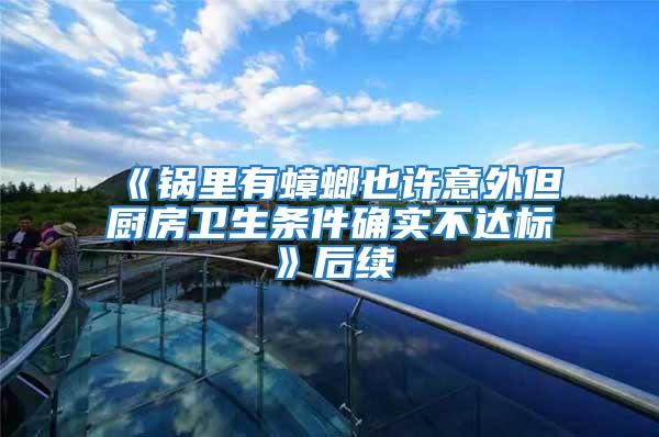 《鍋里有蟑螂也許意外但廚房衛生條件確實不達標》后續