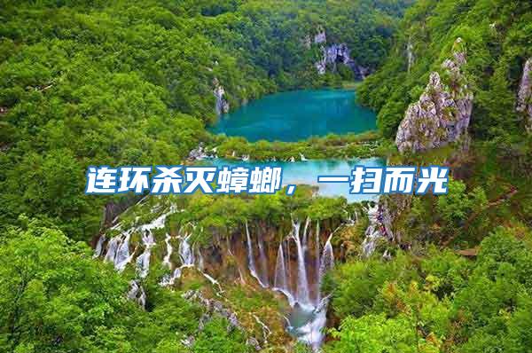 連環殺滅蟑螂，一掃而光