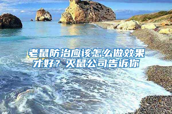 老鼠防治應該怎么做效果才好？滅鼠公司告訴你