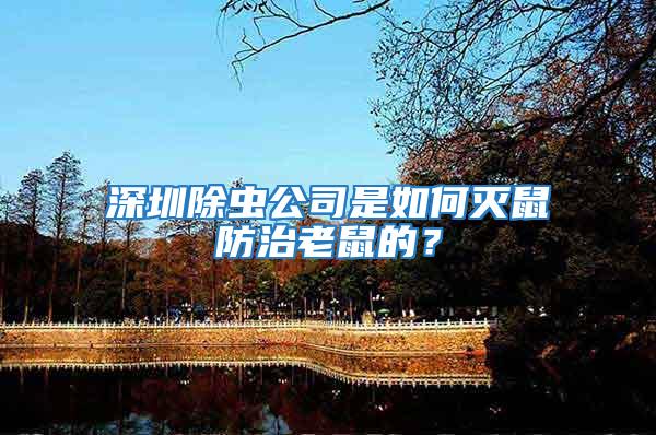 深圳除蟲公司是如何滅鼠防治老鼠的？