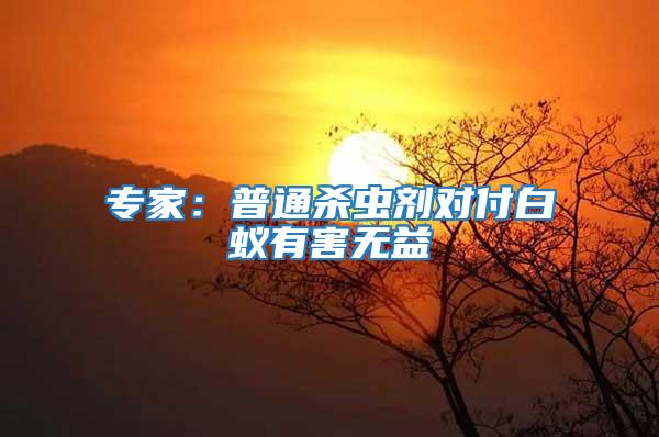 專家:普通殺蟲劑對付白蟻有害無益