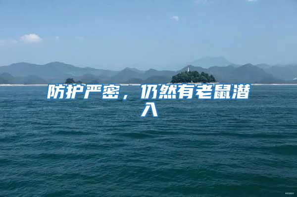 防護嚴密，仍然有老鼠潛入