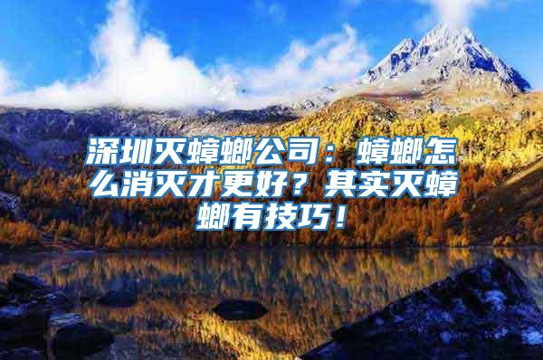 深圳滅蟑螂公司:蟑螂怎么消滅才更好?其實滅蟑螂有技巧!