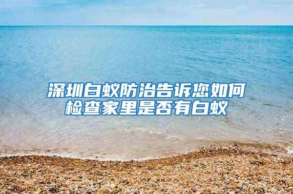 深圳白蟻防治告訴您如何檢查家里是否有白蟻