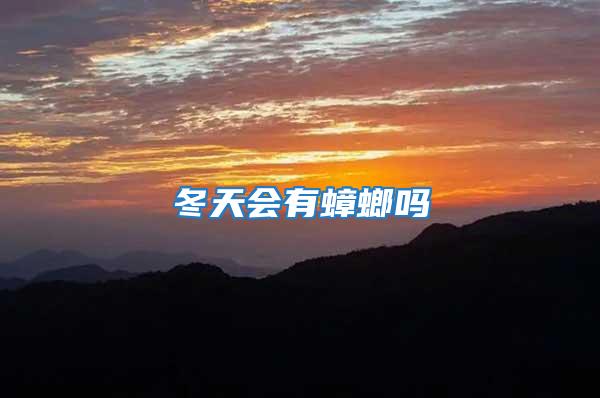 冬天會有蟑螂嗎